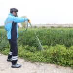 Sakarya’da Haşere ve Zararlı Vektörlere Karşı Kapsamlı Mücadele Başladı