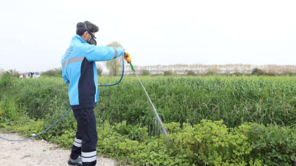 Sakarya’da Haşere ve Zararlı Vektörlere Karşı Kapsamlı Mücadele Başladı
