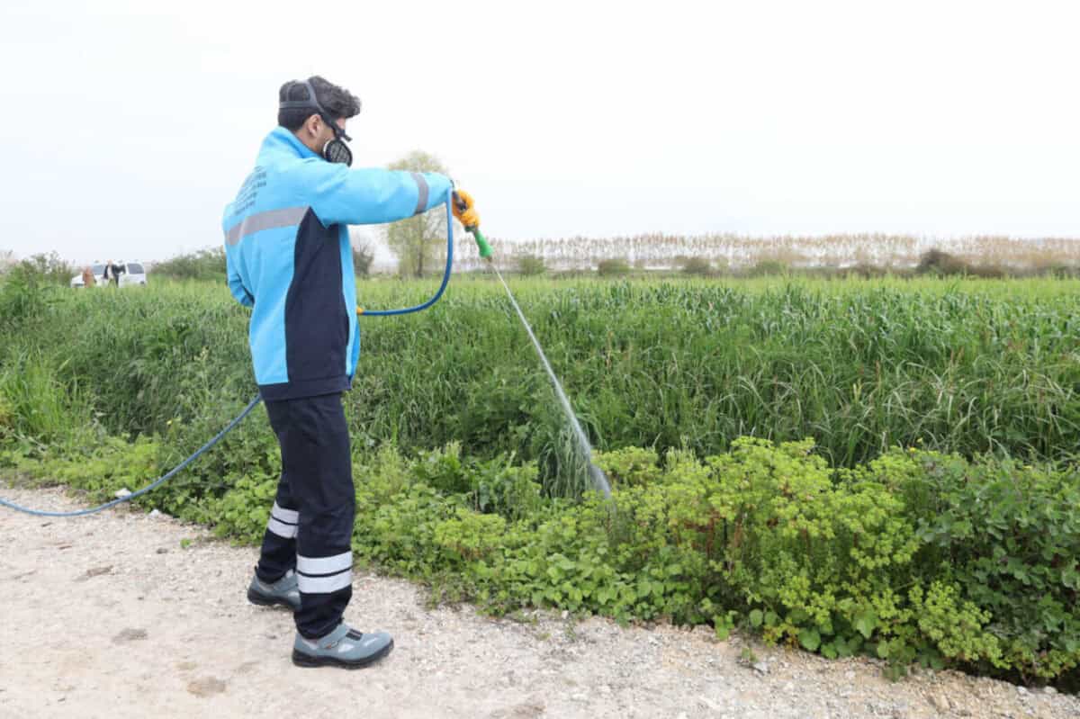 Sakarya’da Haşere ve Zararlı Vektörlere Karşı Kapsamlı Mücadele Başladı